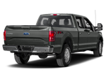 2015 Ford F-150 Lari